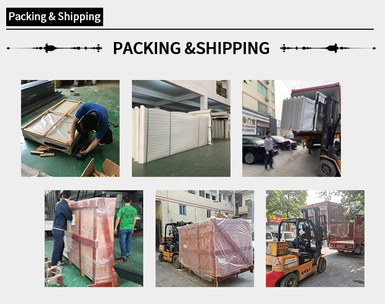 Malaysia Style Light Pattern Security Steel Matte Black Finish Bright Color Pivot Door with Stainless Steel Handle