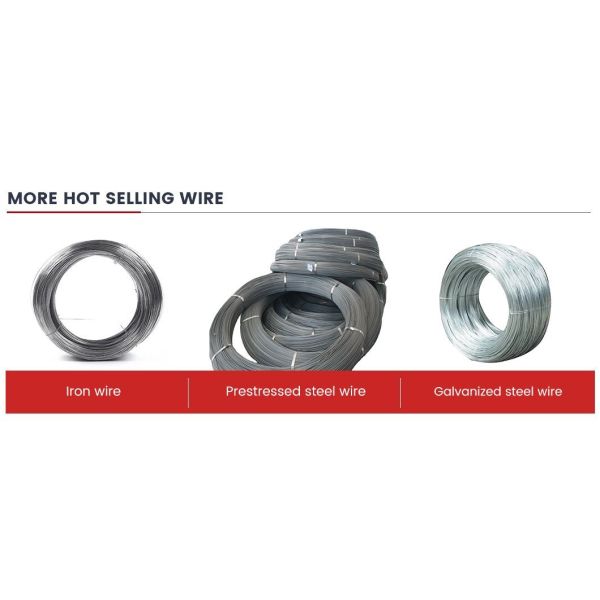 Factory Cheap Carbon Steel Wire Gread 60 70 80 82b 82A Q195 Q235 SAE1022 SAE1006 SAE1018 Wire 1.0mm 6.5mm 5.5mm 12mm Spring Steel Wire