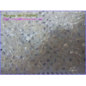 Vegetable Soft Gelatin Encapsulation Machine With Starch / Carrangeen