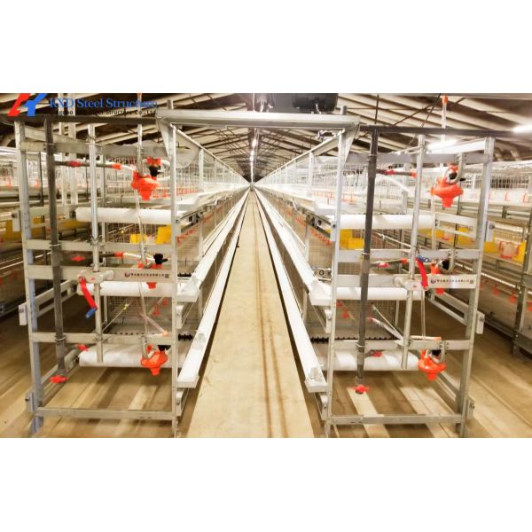 Automatic Broiler Poultry Farming Equipment Galvanized H Type Battery Chicken Cages