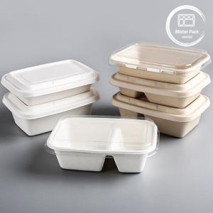 Quality Square Eco Friendly Biodegradable Sugarcane Pulp Lunch Box 100% Compostable for sale