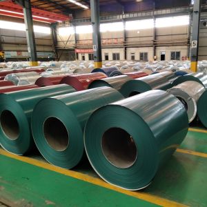 AISI ASTM Prepainted Galvanized Steel Coils DX51D DX52D DX53D