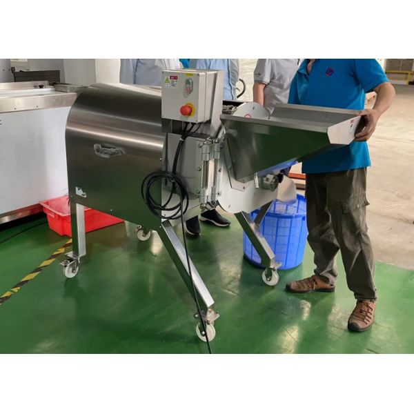 1000KG/H Fruit Dicing Machine Kiwi Papaya Cube Chips Cutting Equipment
