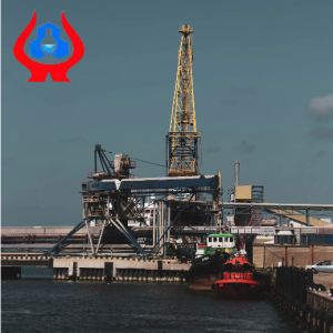 9004-32-4 PAC Oil Drilling Polyanionic Cellulose PAC Manufacturing