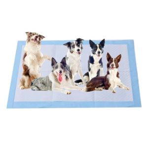 Quality Super Absorbent Anti Slip Dog Training Pads Wholesale for sale