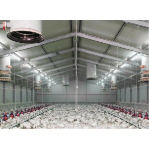 High Stable Prefabricated Light Steel Structure Farm Sheds Poultry House