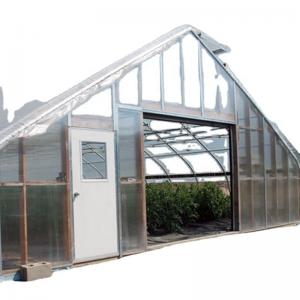 Quality Single Span Greenhouse Mushroom Growing Equipment Covered with Transparent Plastic Film for sale