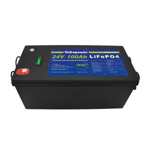 Quality 100Ah 150Ah 200Ah 300Ah 24v Lifepo4 Battery With Bms for sale