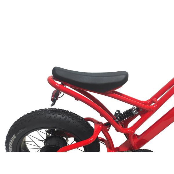 E-bike Fat Tire 48V10Ah Lithium Battery Speed 500W Brushless Spoke Motor For Snowmobiles