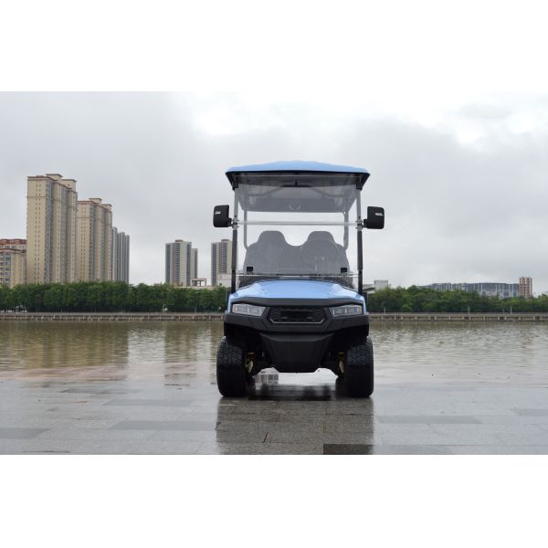 2 4 6 Seat Electric Lithium Battery Sightseeing Golf Cart Golf Buggy Car with DOT Comfortable and Spacious