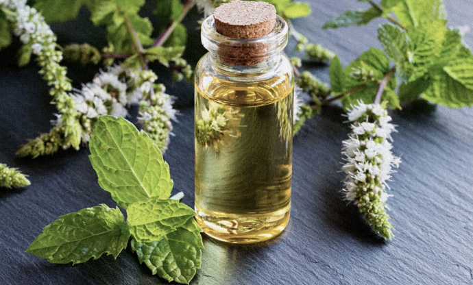 Natural Mint Essential Oil With Gourmand Fragrance Family For Food and Beverages