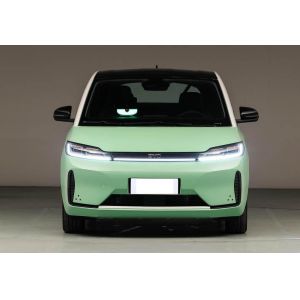 Hatchback Electric D1 BYD EV Car 418km LFP Battery