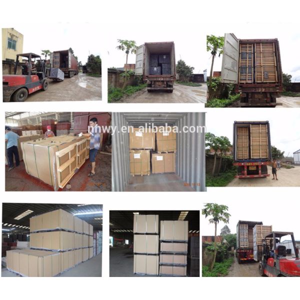 White Indoor Furniture 16mm 18mm Birchwood Plywood