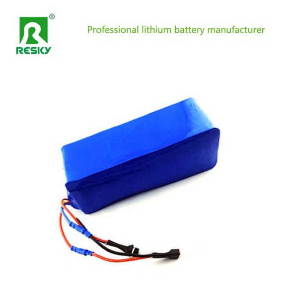 48V 13ah Electric Bike Li-ion Battery Lithium Ion Batteries For E-scooter