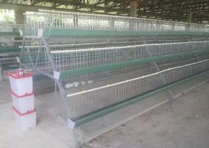 China Popular Chicken Egg Layer Cage , Battery Cage System For Battery Chicken on sale