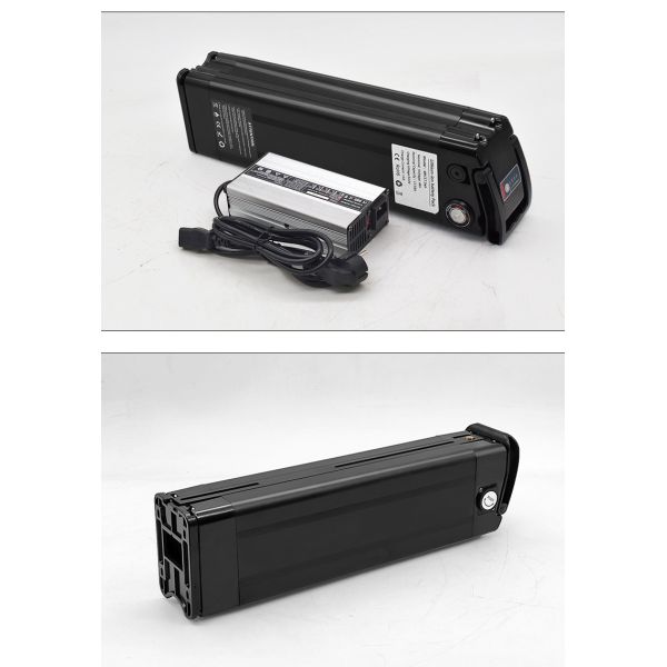 High Quality Silver Fish Battery 48V 20ah Lithium Ion E-Bike Battery For 1000W Electric Bike Ebike Akku