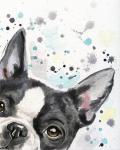Design Package Canvas Prints Wall Art Cute Dog , Home Decor Canvas Wall Art