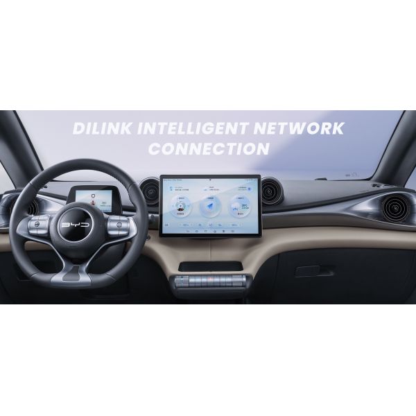 2022 BYD Dolphin EV Car Vehicles Zero Emission Vitality Edition