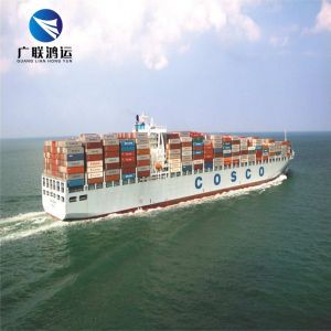 Quality FBA Amazon LCL DDP Sea Shipping Rates From China To USA EU for sale