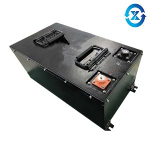 Quality Safety 48V 60AH Lithium E Rickshaw Battery for sale