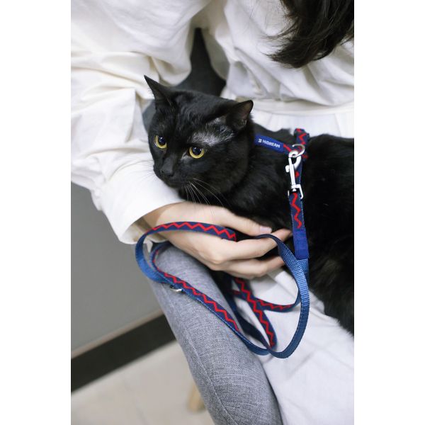 Vest Cat Harness And Leash Set For Walking Escape Proof