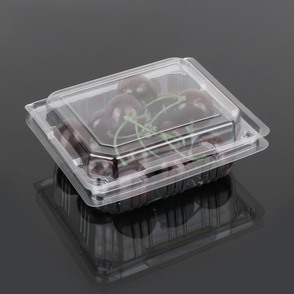 12.5cm Disposable Fruit Salad Containers