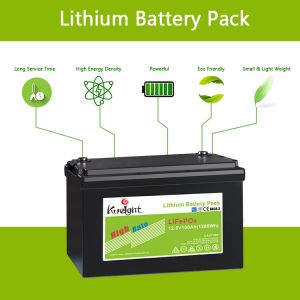 Quality 4000cycles 100Ah 12V LiFePO4 Battery Solar Energy Storage System for sale