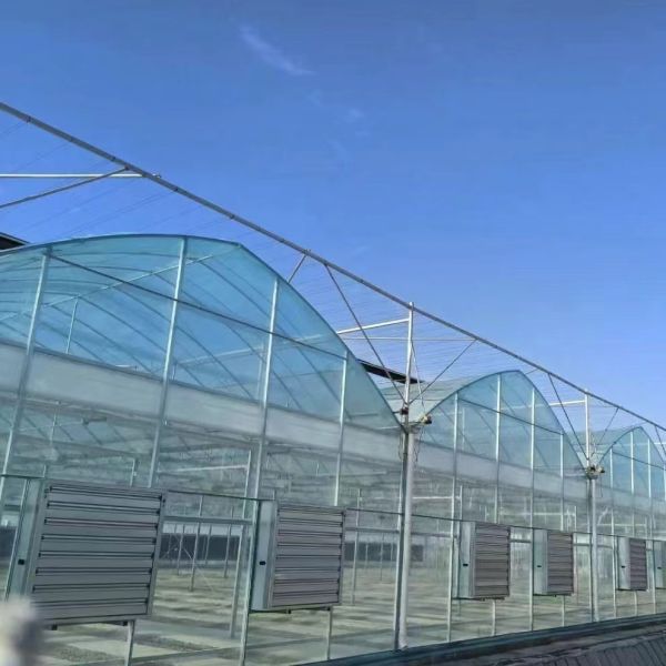 China Supplier Multi Span Film Greenhouse with Cooling/ Shading/Irrigation