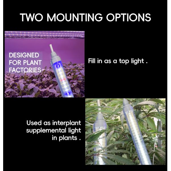 Vertical Greenhouse Farming LED Grow Light Tubes 220V T8 T10 T12 4FT 18W 25W 36W 48W For Veg Bloom