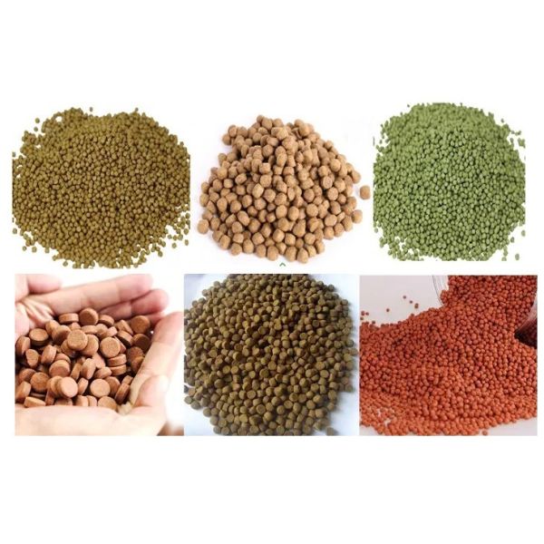 Fully automatic 304 ss floating fish feed machine price in india