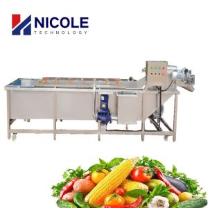 Quality Multifunctional Washing Fruit Vegetable Cleaning Machine Stainless Steel for sale