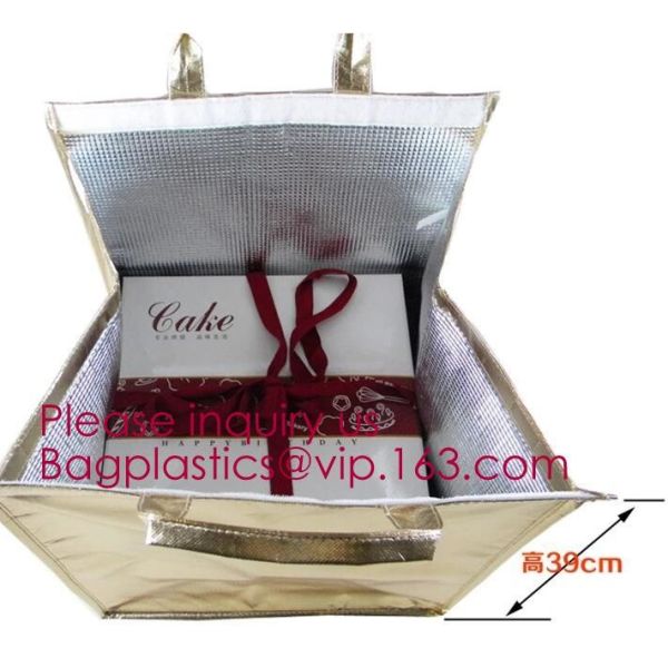 Foldable Lunch Insulated Cooler Bag Heated Food Delivery Bag Thermal Pizza Delivery Cooler Bag