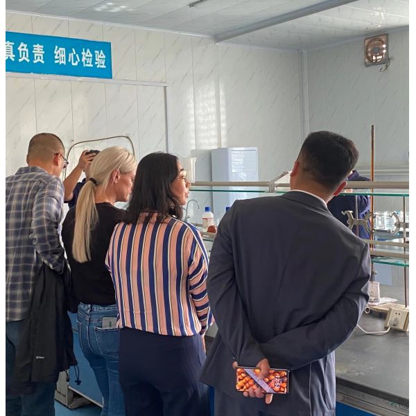 Sodium Carboxymethylcellulose Emulsifier Industrial Grade Additive