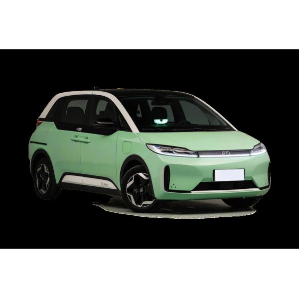 Hatchback Electric D1 BYD EV Car 418km LFP Battery