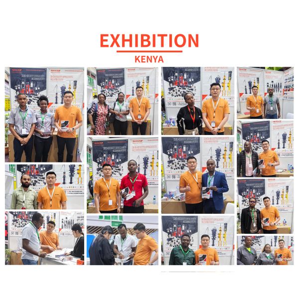 Land Rover Air Suspension Strut RNB501620 RNB501590 for Land Rover Discovery L319