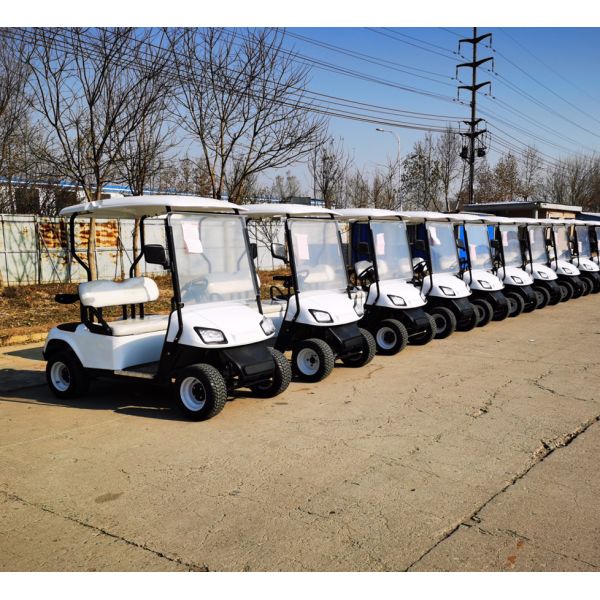Off-road 2 Seater Golf Buggy Rechargeable Good Quality Golf Sightseeing Car