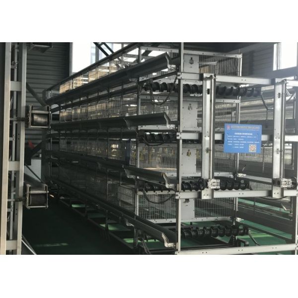 Buy Reliable Layer Farming Equipment Intelligent Environmental Control System at wholesale prices