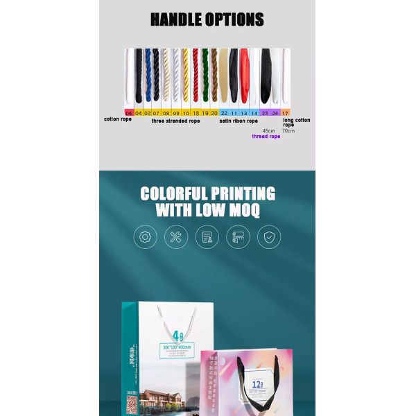 Pantone Colors Clothing Shoe Kraft Paper Bags Offset Printing Promotion Gift Bag