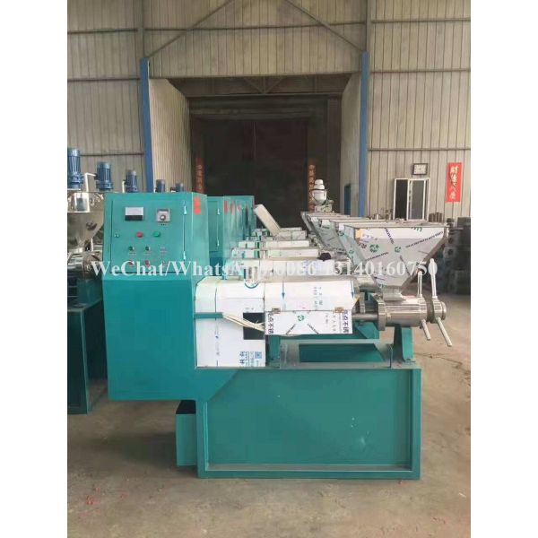 80-125kg/H Nuts Processing Machine Shea Automatic Oil Extraction Machine