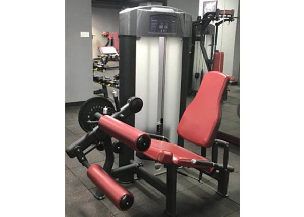 Buy Seated Adjustable Multi Station Exercise Equipment With Training Indicator at wholesale prices