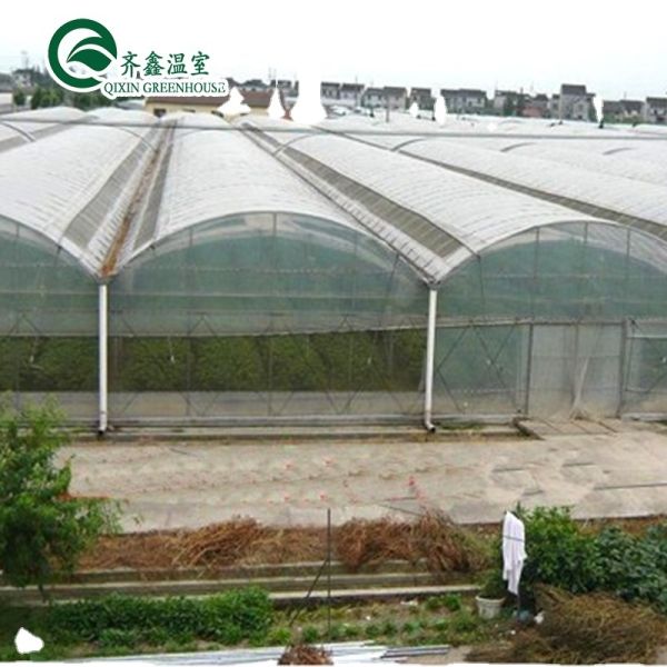 Customized Multi-span Vegetable Grow Tunnel Greenhouse for Vegetable Cultivation