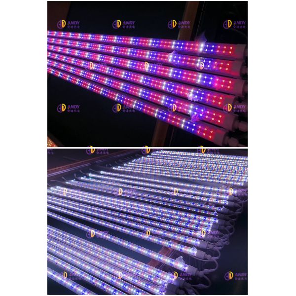 Indoor 36W 25W 18W UV IR NIR T8 LED Tube Grow Light 6500K 460nm 660nm 395nm For Hydroponics
