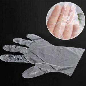 Quality PE Plastic Disposable Gloves / Eco Friendly Plastic Multifunction Gloves for sale