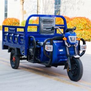 Quality Blue Utility Electric Tricycle Truck Cargo E Trike Truck 1000W for sale