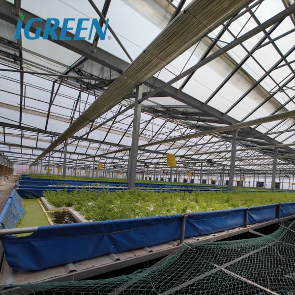Solar Gray Polycarbonate Sheet Greenhouse For Aquaponics Farming System