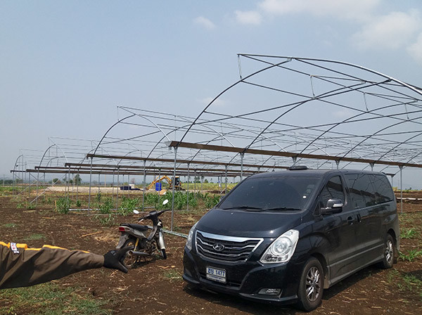 Horticulture Tropical Large Pvc Greenhouse With Agricole Metal Frame