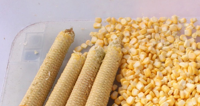 Professional Vegetable Processing Equipment / Corn Kernel Remover Machine