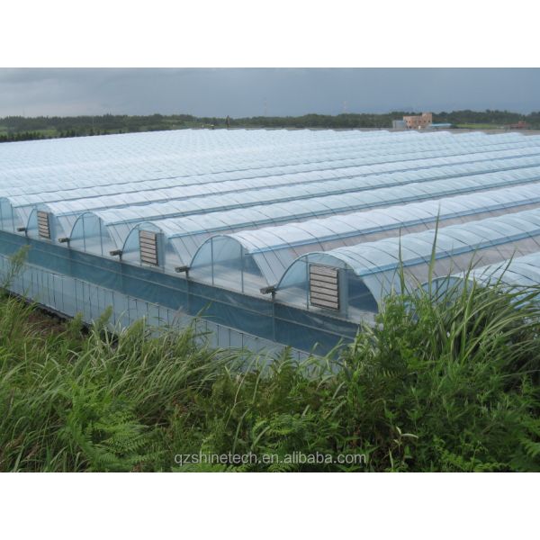 Industrial Hydroponic Greenhouse with Super Strong Resistance Multi Span Greenhouse